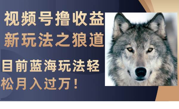 视频号撸收益新玩法之狼道，目前蓝海玩法轻松月入过万！ - 晨鑫项目库-晨鑫项目库