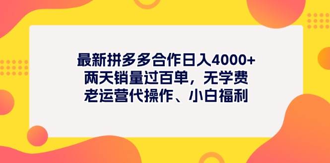 最新拼多多项目日入4000+两天销量过百单，无学费、老运营代操作、小白福利 - 晨鑫项目库-晨鑫项目库