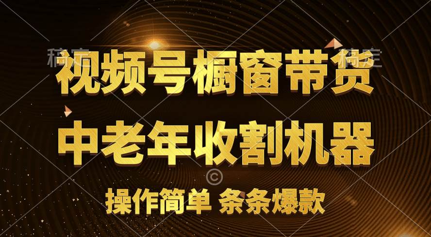 [你的孩子成功取得高位]视频号最火爆赛道，橱窗带货，流量分成计划，条... - 晨鑫项目库-晨鑫项目库
