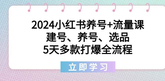 2024小红书养号+流量课：建号、养号、选品，5天多款打爆全流程 - 晨鑫项目库-晨鑫项目库