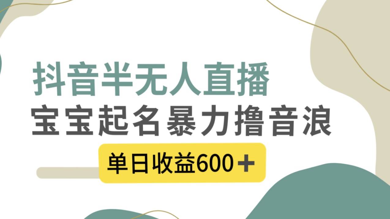 抖音半无人直播，宝宝起名，暴力撸音浪，单日收益600+ - 晨鑫项目库-晨鑫项目库
