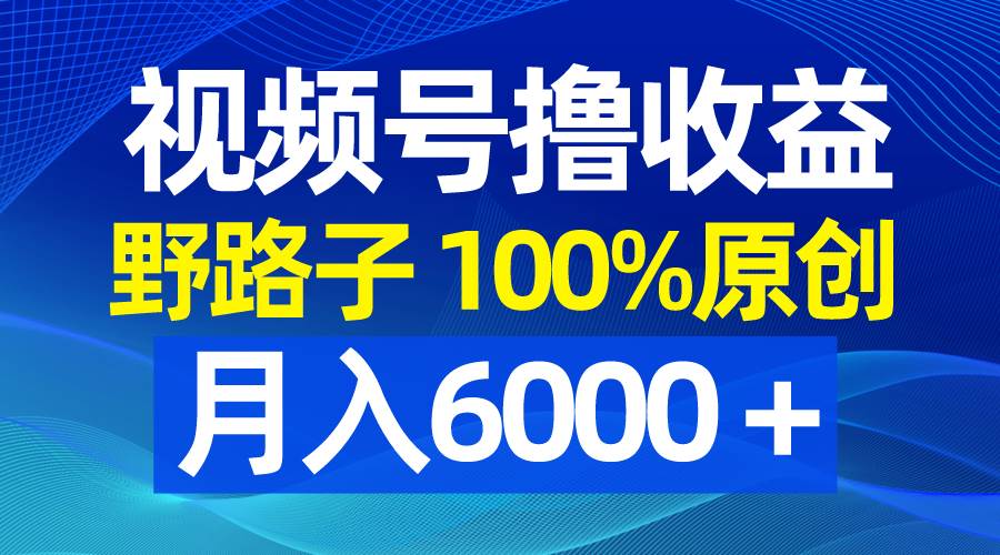 视频号野路子撸收益，100%原创，条条爆款，月入6000＋ - 晨鑫项目库-晨鑫项目库