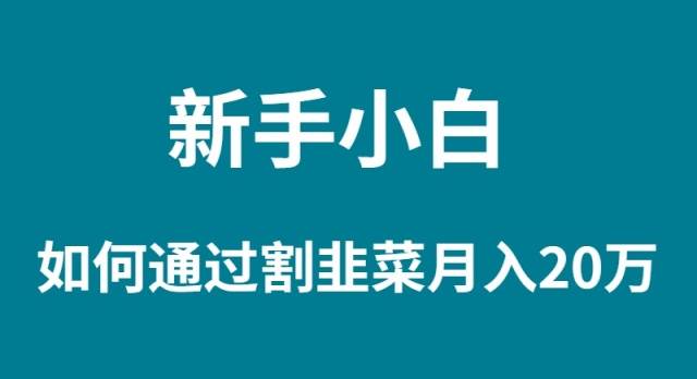 新手小白如何通过割韭菜月入 20W - 晨鑫项目库-晨鑫项目库