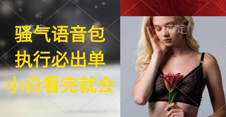 执行就出单，日入2000+，超火骚气语音包，小白看完课程就能马上实操 - 晨鑫项目库-晨鑫项目库