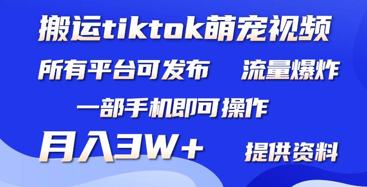 搬运Tiktok萌宠类视频，一部手机即可。所有短视频平台均可操作，月入3W+ - 晨鑫项目库-晨鑫项目库