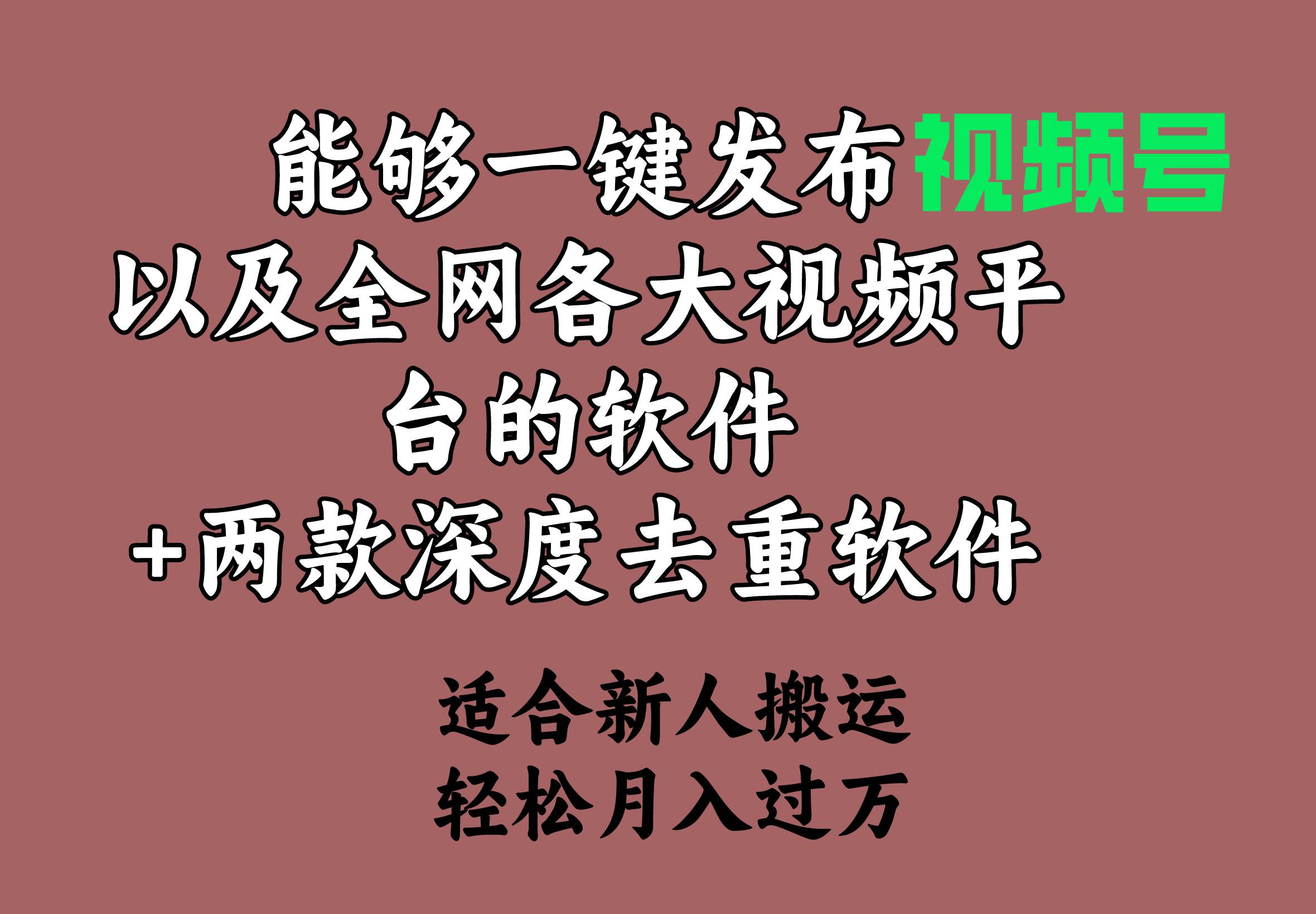能够一键发布视频号以及全网各大视频平台的软件+两款深度去重软件 适合... - 晨鑫项目库-晨鑫项目库