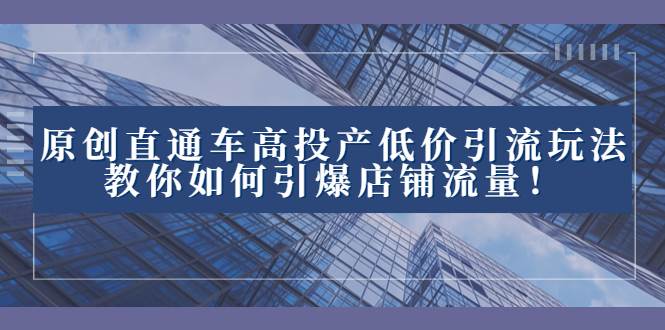 2023直通车高投产低价引流玩法，教你如何引爆店铺流量！ - 晨鑫项目库-晨鑫项目库