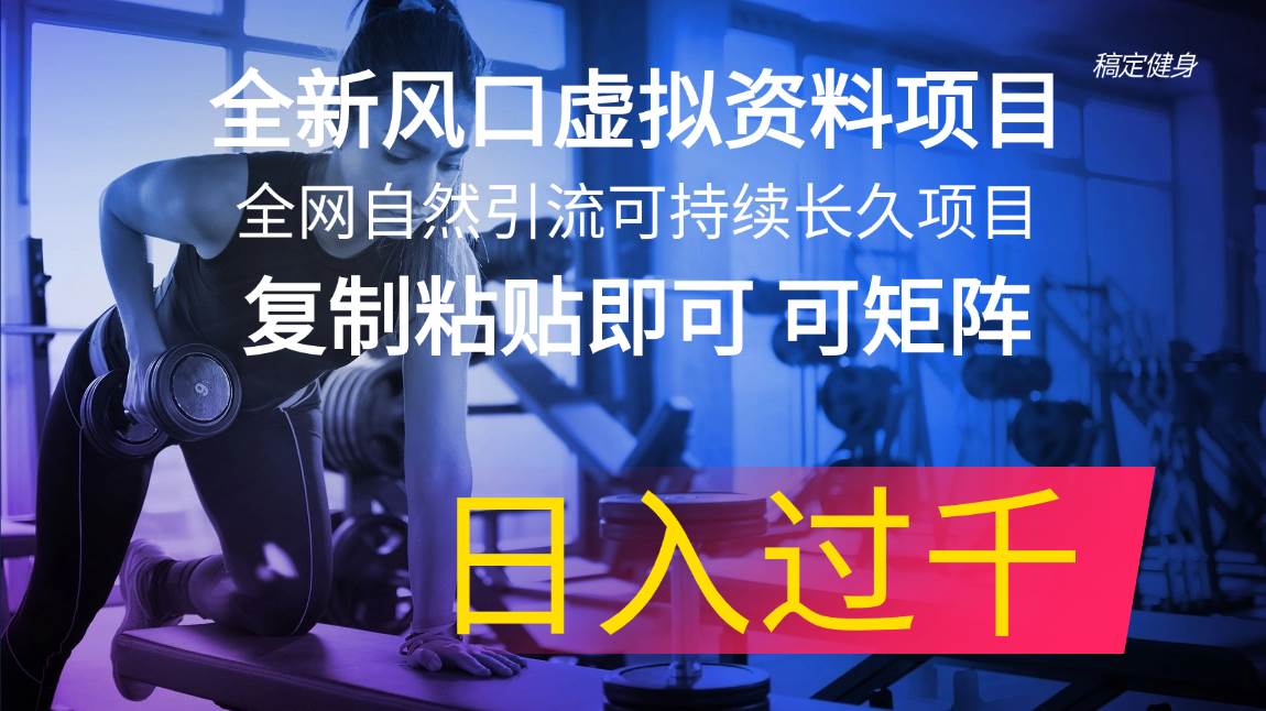 全新风口虚拟资料项目 全网自然引流可持续长久项目 复制粘贴即可可矩阵... - 晨鑫项目库-晨鑫项目库