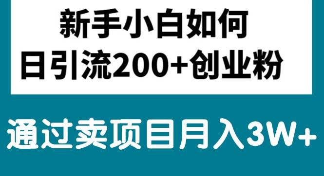 新手小白日引流200+创业粉,通过卖项目月入3W+ - 晨鑫项目库-晨鑫项目库