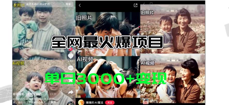 全网爆火的AI让老照片动起来教程，蹭热点日赚3000+，内含免费工具一键... - 晨鑫项目库-晨鑫项目库