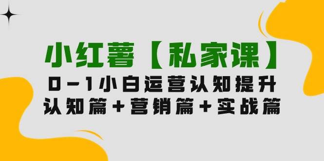 小红薯【私家课】0-1玩赚小红书内容营销，认知篇+营销篇+实战篇（11节课） - 晨鑫项目库-晨鑫项目库
