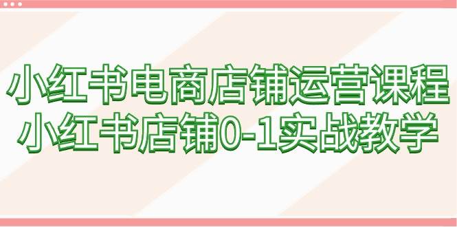 小红书电商店铺运营课程，小红书店铺0-1实战教学（60节课） - 晨鑫项目库-晨鑫项目库