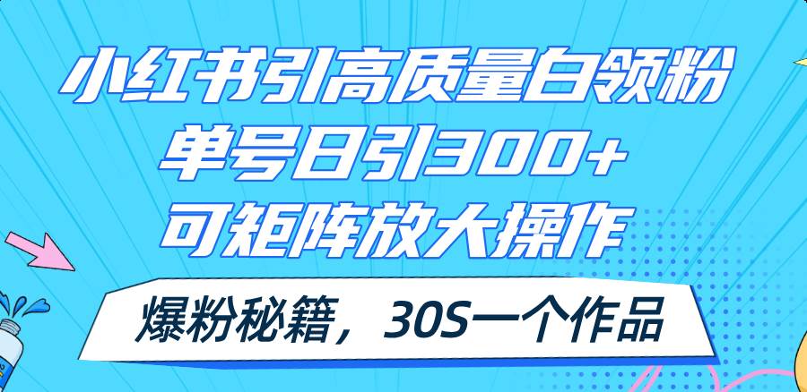 小红书引高质量白领粉，单号日引300+，可放大操作，爆粉秘籍！30s一个作品 - 晨鑫项目库-晨鑫项目库