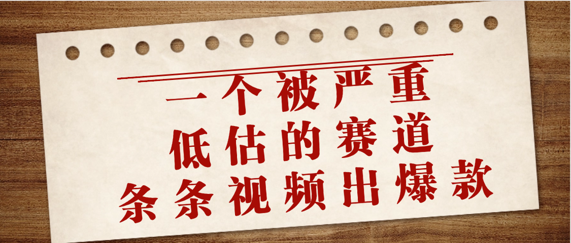 一个被严重低估的赛道，条条视频出爆款，一个月变现3万+ - 晨鑫项目库-晨鑫项目库