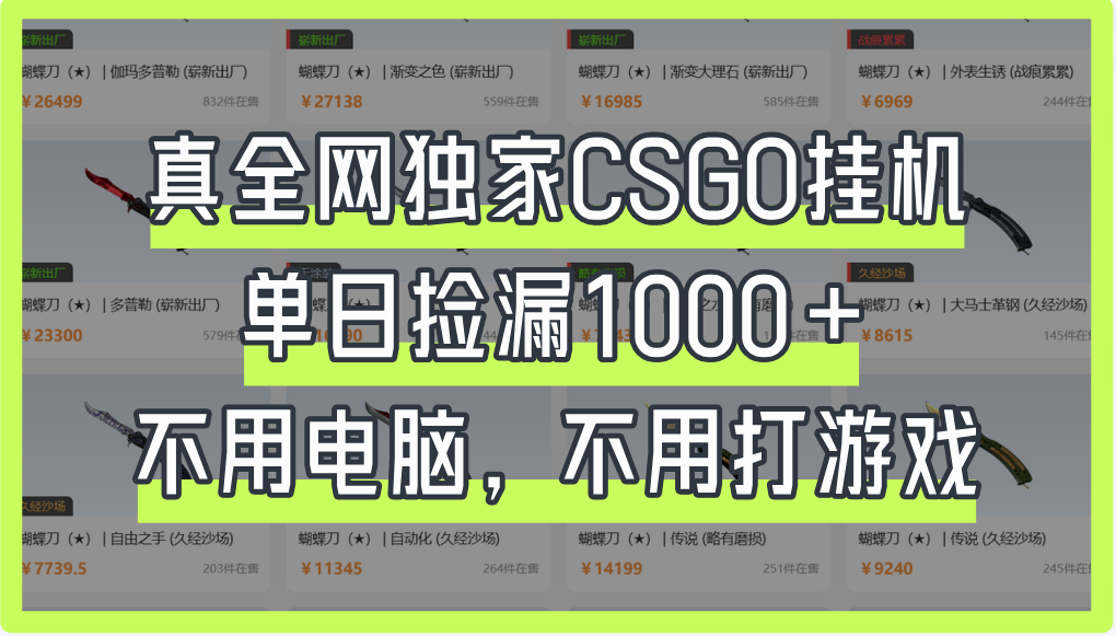 真全网独家CSGO挂机，单日捡漏1000+ - 晨鑫项目库-晨鑫项目库