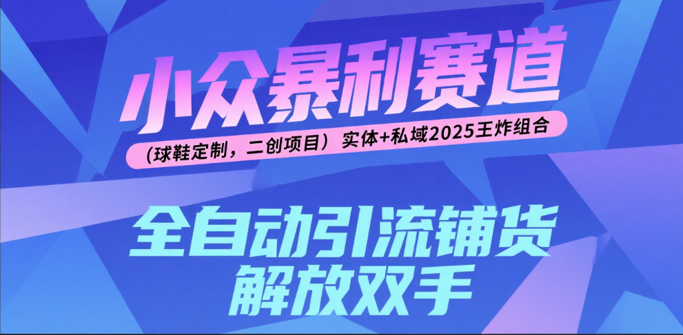 楠—小众暴利赛道（球鞋定制，二创项目）实体+私域2025王炸组合 - 晨鑫项目库-晨鑫项目库