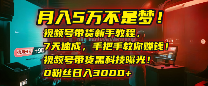 月入5万不是梦！视频号带货新手教程，7天速成，手把手教你赚钱！视频号带货黑科技曝光！0粉丝日入3000+ - 晨鑫项目库-晨鑫项目库